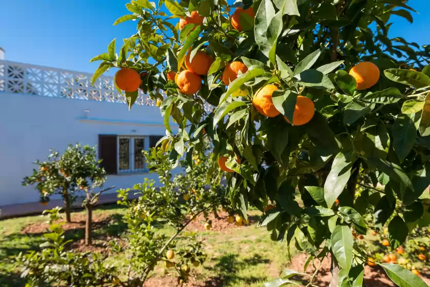 Holiday rentals in Las piedras, Llucmajor