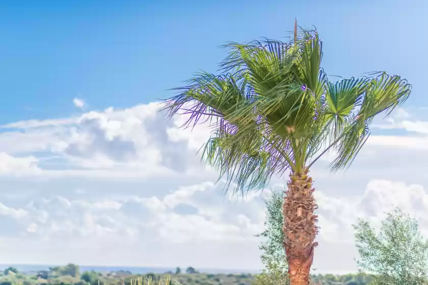 Alquiler vacacional en Vista alegre, Manacor