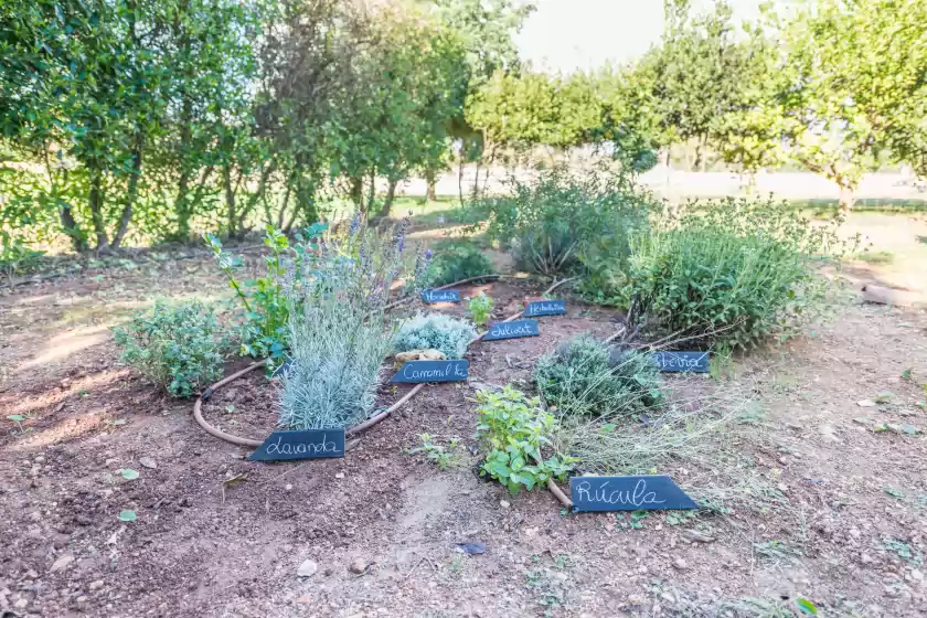 Alquiler vacacional en Vista alegre, Manacor