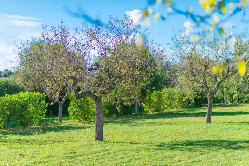 Alquiler vacacional en Vista alegre, Manacor