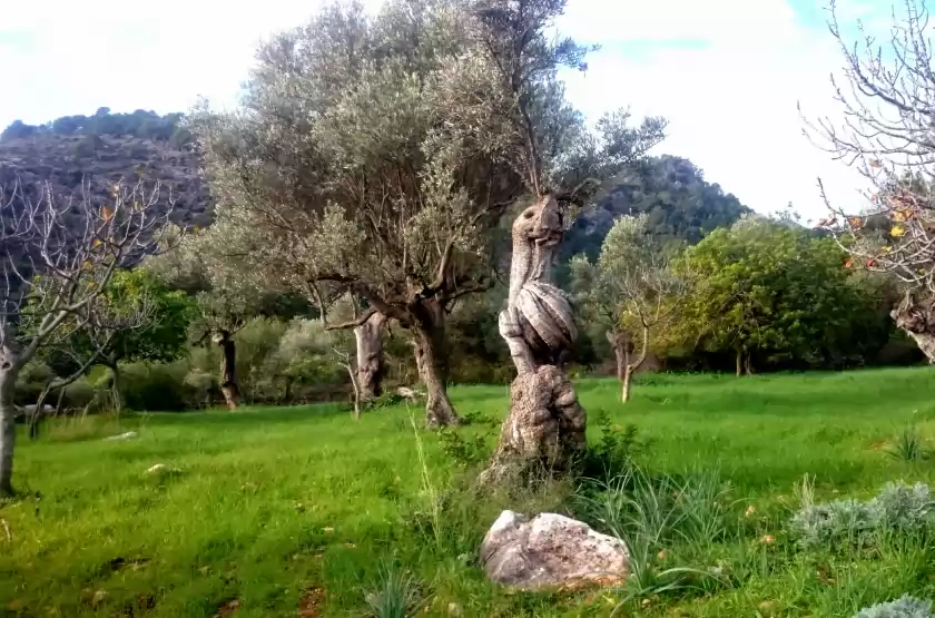 Ferienhaus auf Ca na carme (alaronera), Alaró
