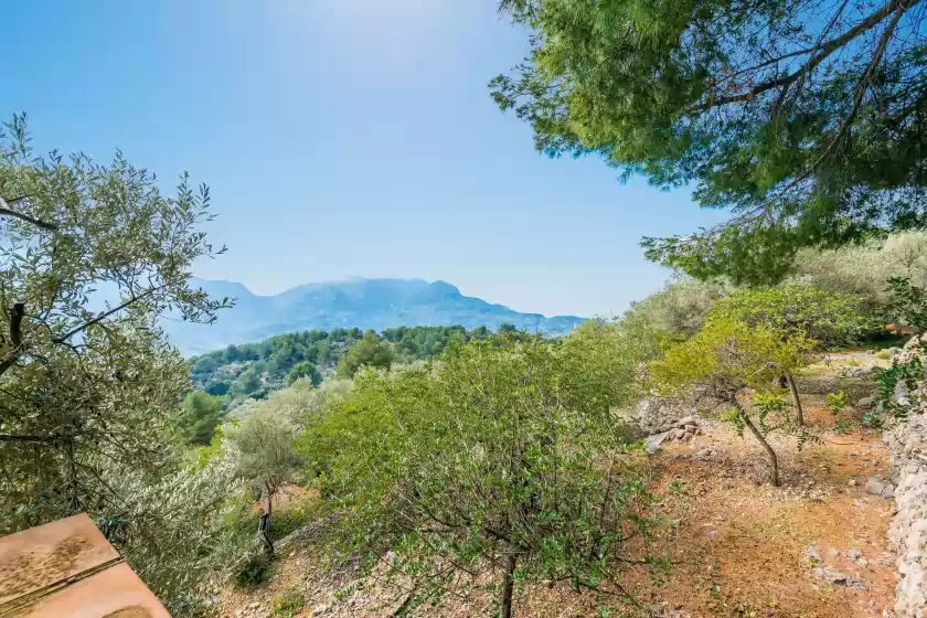 Holiday rentals in S'olivaret (fornalutx), Fornalutx