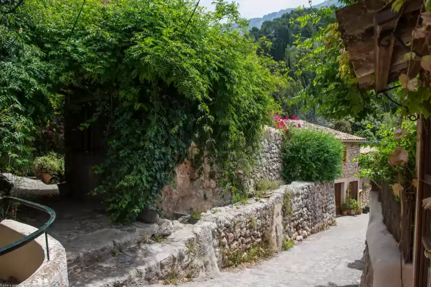 Holiday rentals in S'olivaret (fornalutx), Fornalutx