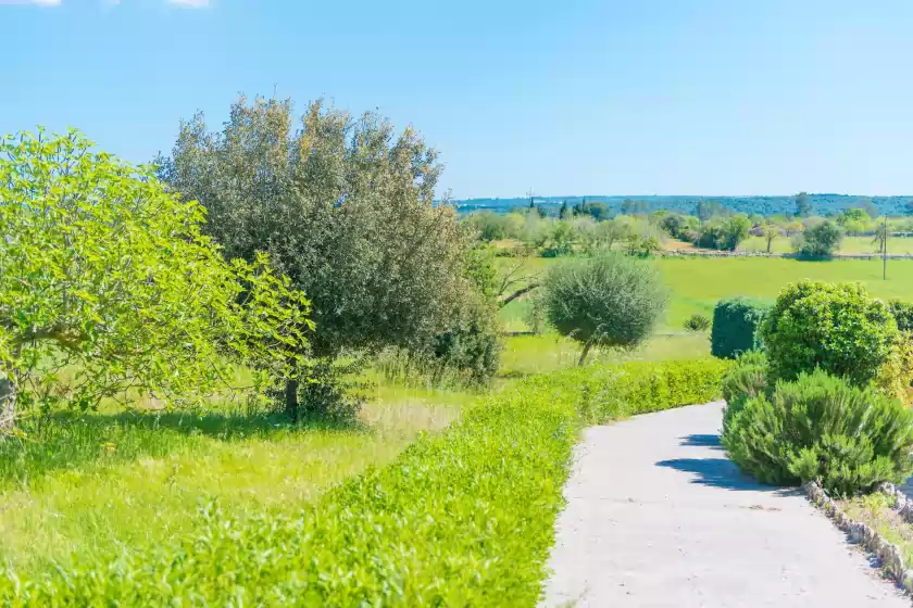 Holiday rentals in Casa holganza, Maria de la Salut
