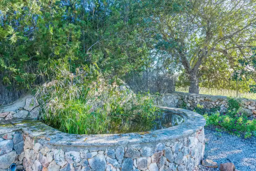 Holiday rentals in Sa punta, Son Carrió