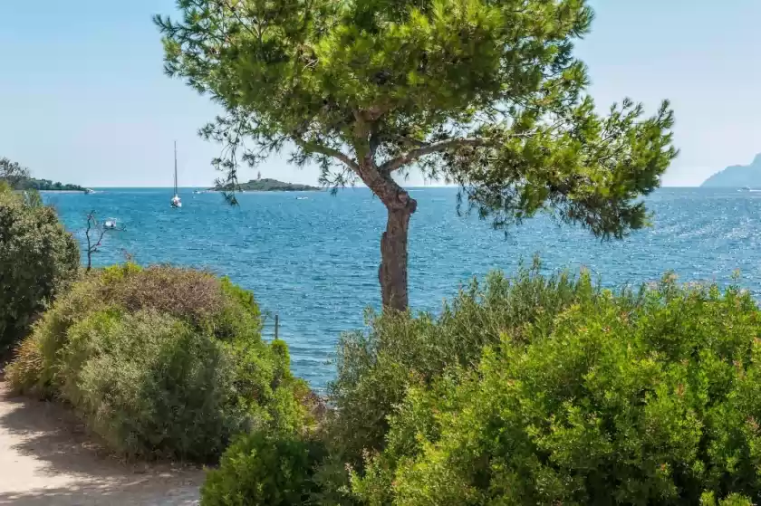 Holiday rentals in Villa can torrens, Port d'Alcúdia