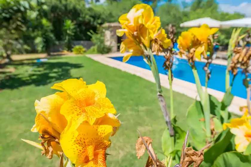 Ferienhaus auf Casa alba, Manacor