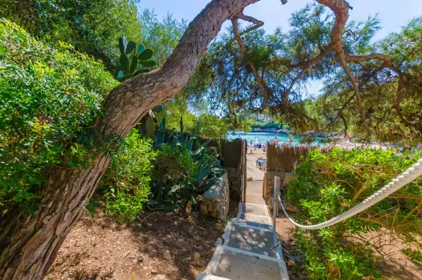 Holiday rentals in Cala dor 14, Cala d'Or