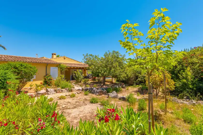 Alquiler vacacional en Ca na margalida, Cala Murada