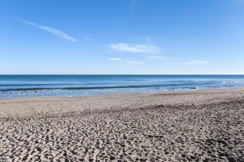 Holiday rentals in Sea pearl,