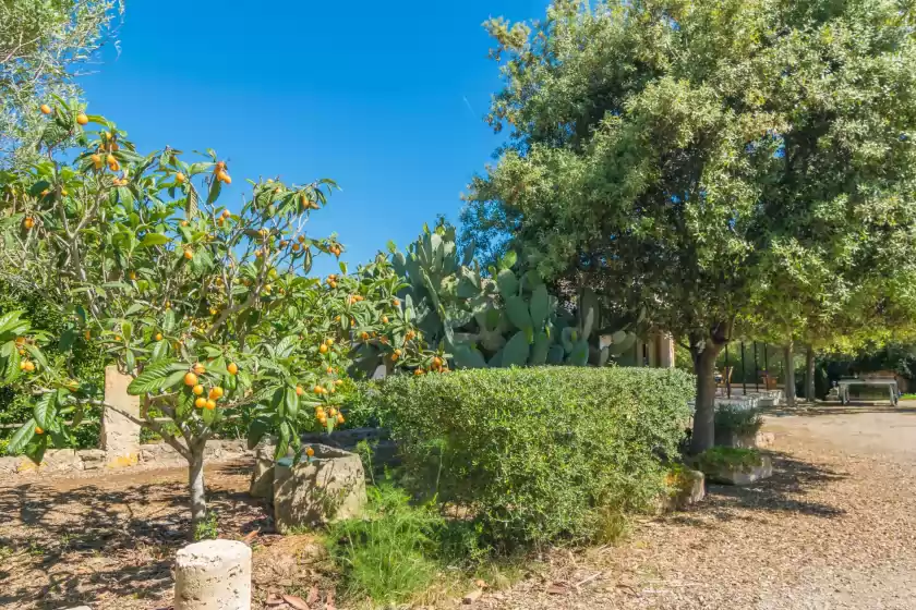 Holiday rentals in Can mostatxet, Can Picafort