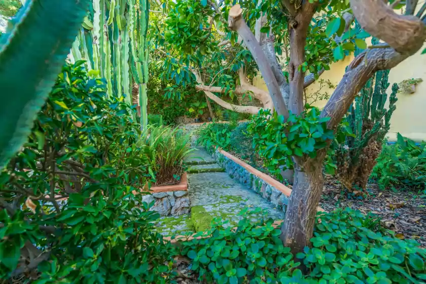 Holiday rentals in Coste can moragues, Pollença
