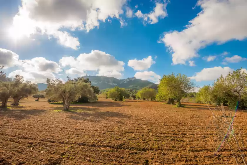 Holiday rentals in Bonavista (batle de bonavista)	, Felanitx
