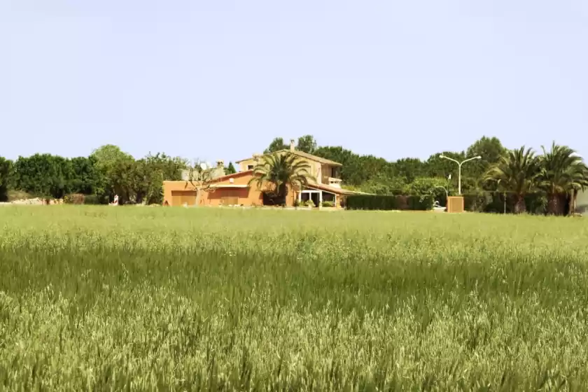 Holiday rentals in Es rafal nostro, Felanitx