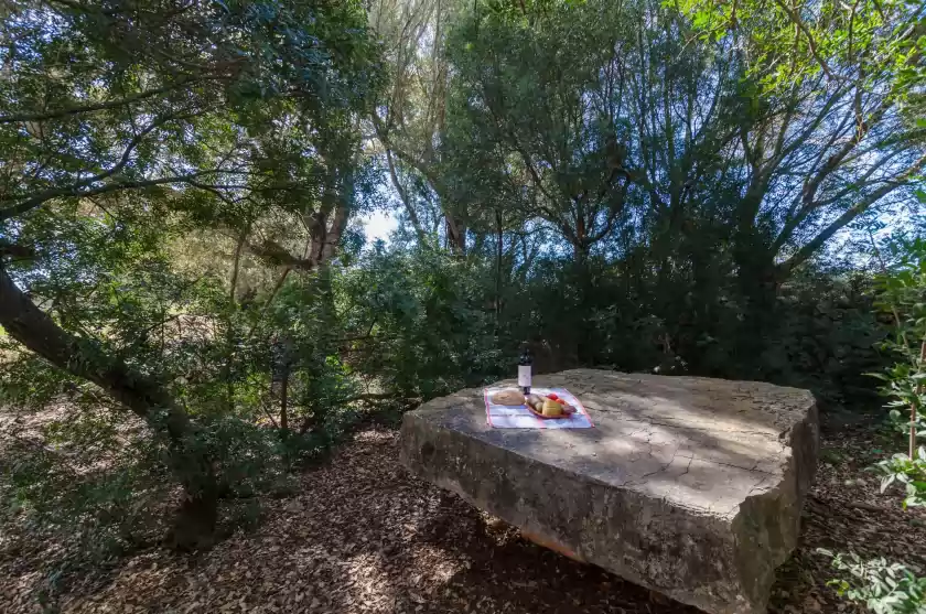 Alquiler vacacional en Son julià, Porreres