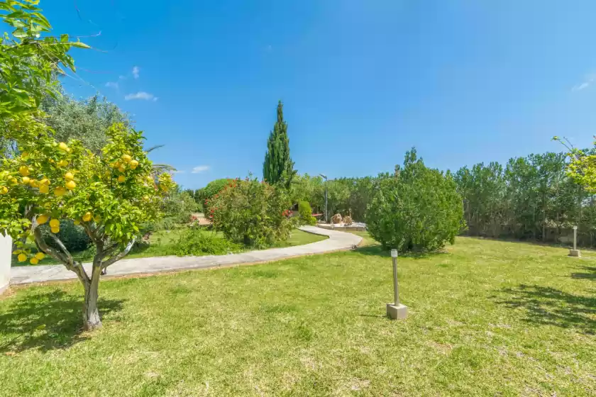 Alquiler vacacional en Finca miralles, Búger