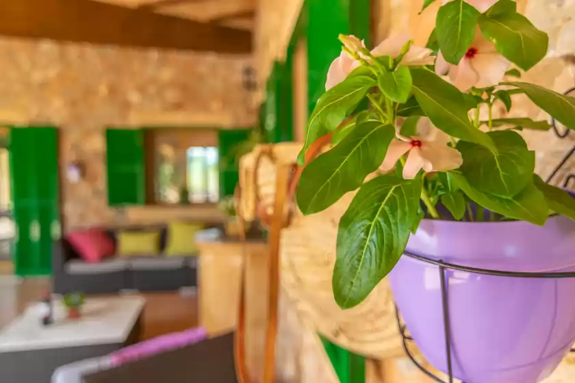 Holiday rentals in Los girasoles, Campos