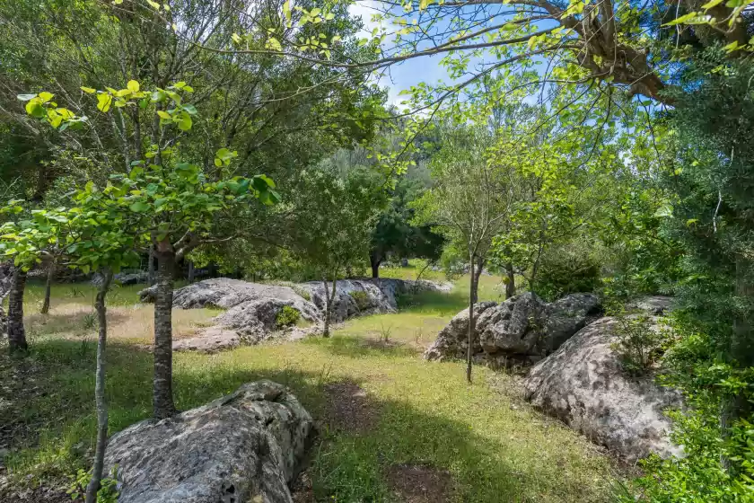 Holiday rentals in Can company, Campanet