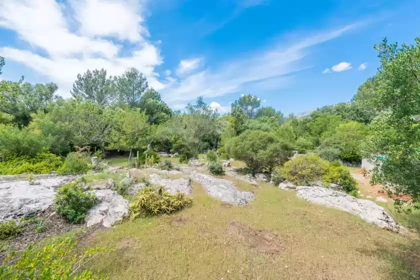 Holiday rentals in Can company, Campanet