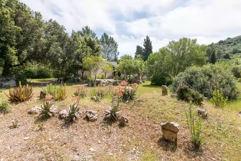 Holiday rentals in Can company, Campanet