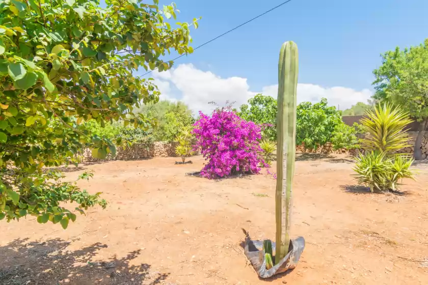 Holiday rentals in Can tomeu (ses salines), ses Salines