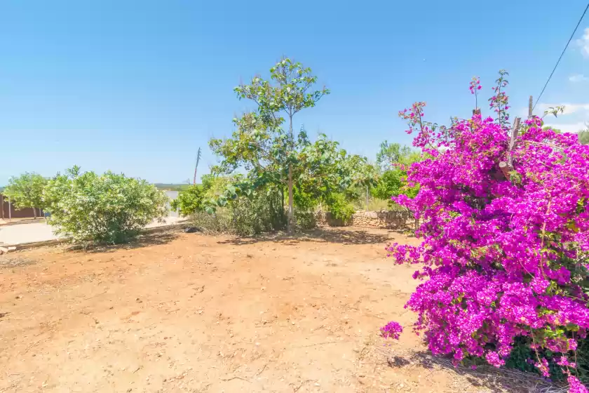 Holiday rentals in Can tomeu (ses salines), ses Salines