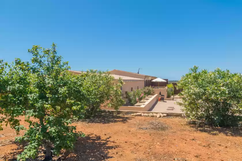 Holiday rentals in Can tomeu (ses salines), ses Salines