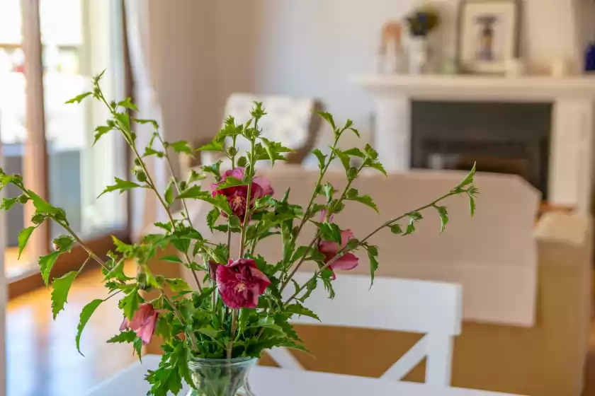 Holiday rentals in Can clavell, Urbanització Montfarrutx