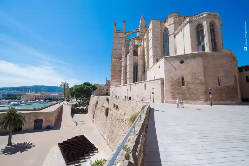 Holiday rentals in Miraclet - adults only, Palma