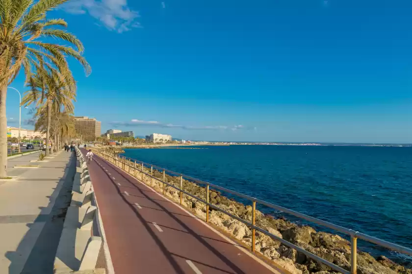 Holiday rentals in Miraclet - adults only, Palma