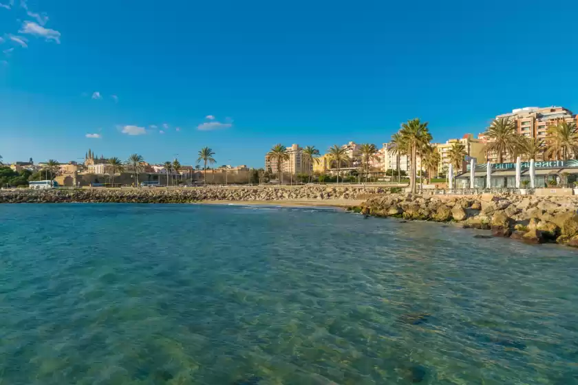 Holiday rentals in Miraclet - adults only, Palma