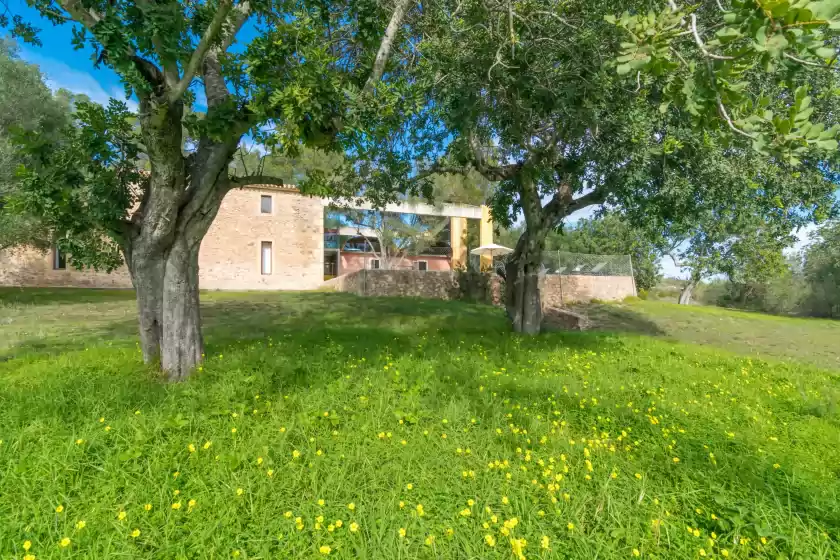 Holiday rentals in Viterbo, Son Servera