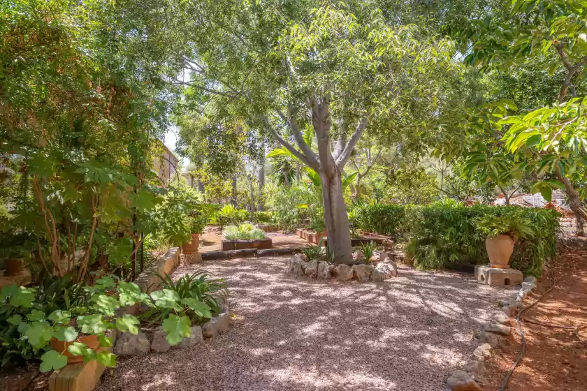 Holiday rentals in Can toni gat, Bunyola