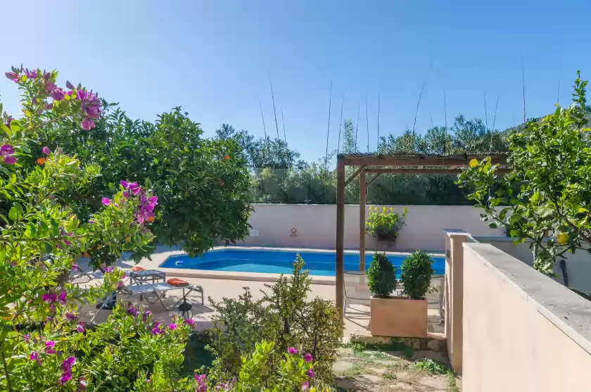 Holiday rentals in Pula viñas, Son Servera