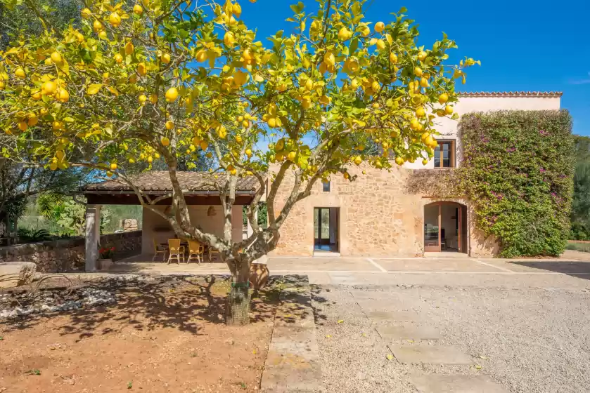 Ferienhaus auf Can pere rapinya, Algaida