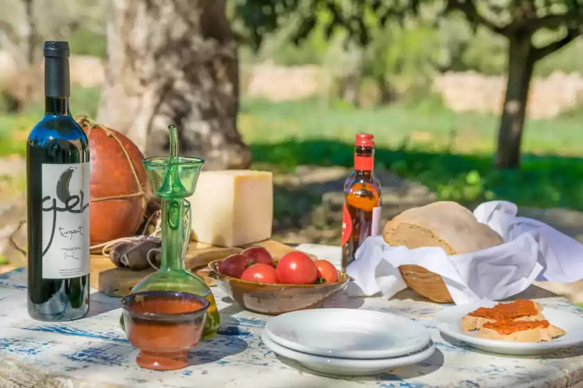 Ferienhaus auf Can pere rapinya, Algaida