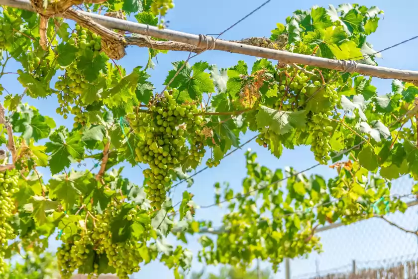 Ferienhaus auf Sa raconada, Algaida
