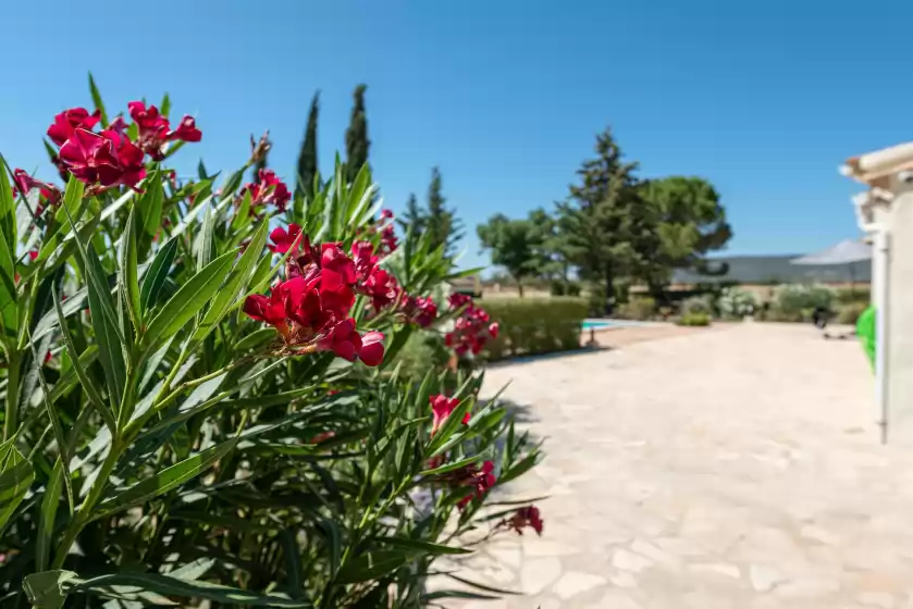 Location de vacances à Ca na menuda, Biniali