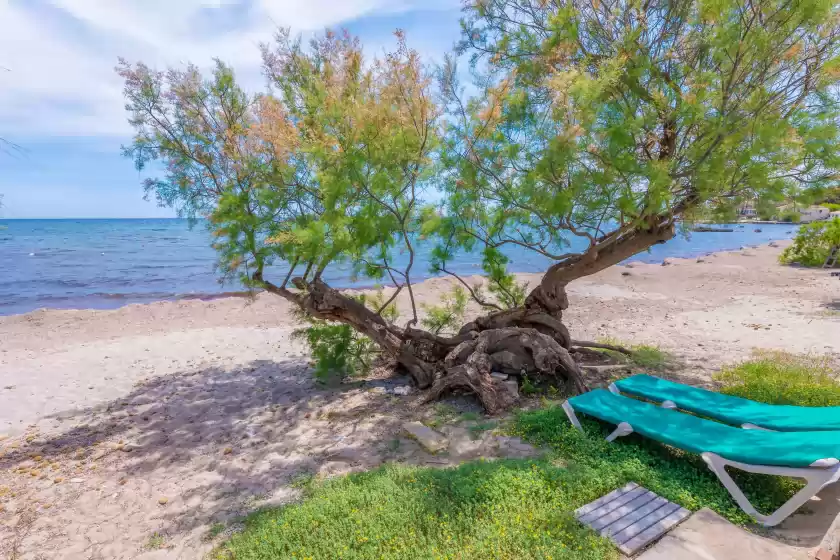 Holiday rentals in Cas ferrerico, Port Vell, Port Verd i Port Nou