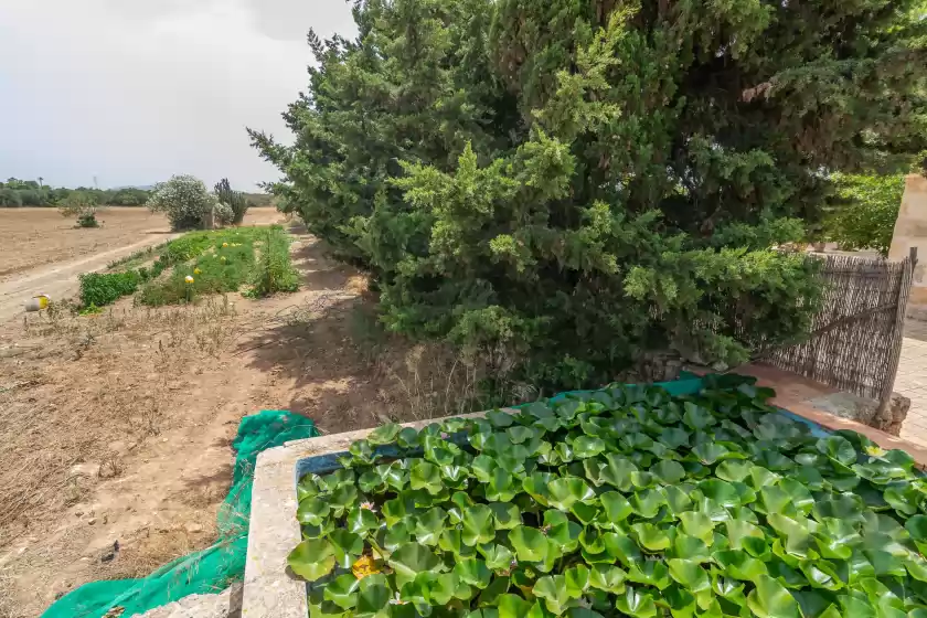 Holiday rentals in Can ribas, Can Picafort