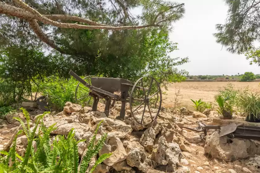 Holiday rentals in Can ribas, Can Picafort