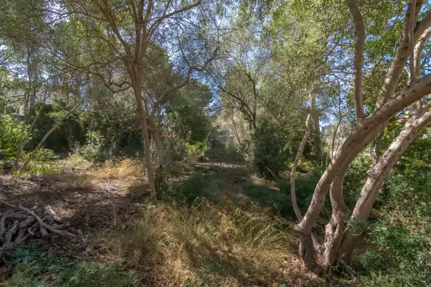 Alquiler vacacional en Villa maria 6, Portals Nous