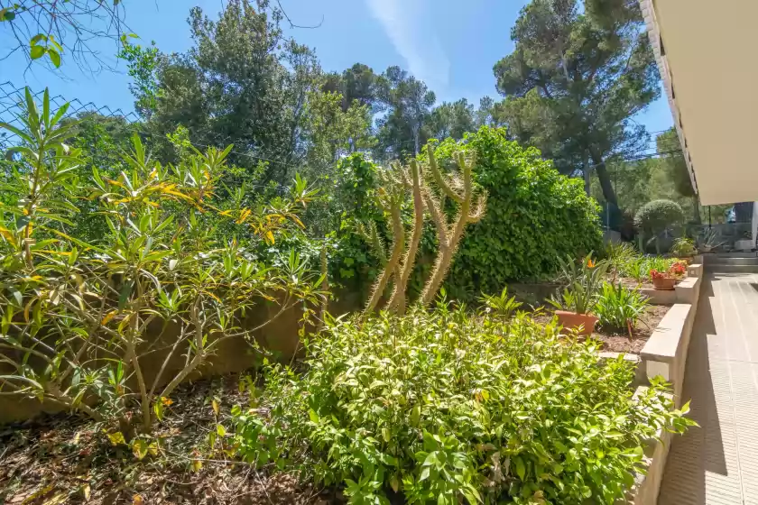 Alquiler vacacional en Es pins, es Carregador