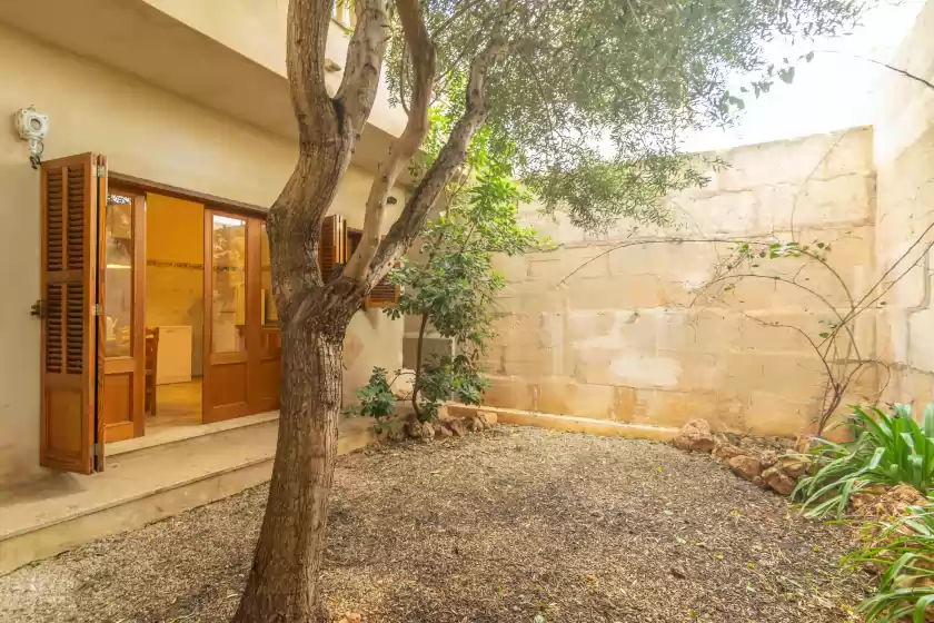 Holiday rentals in Habitatge escorball, sa Ràpita