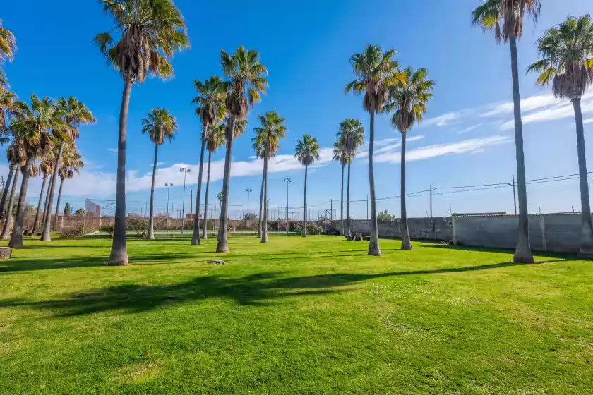 Holiday rentals in Es moli dels reis, Palma