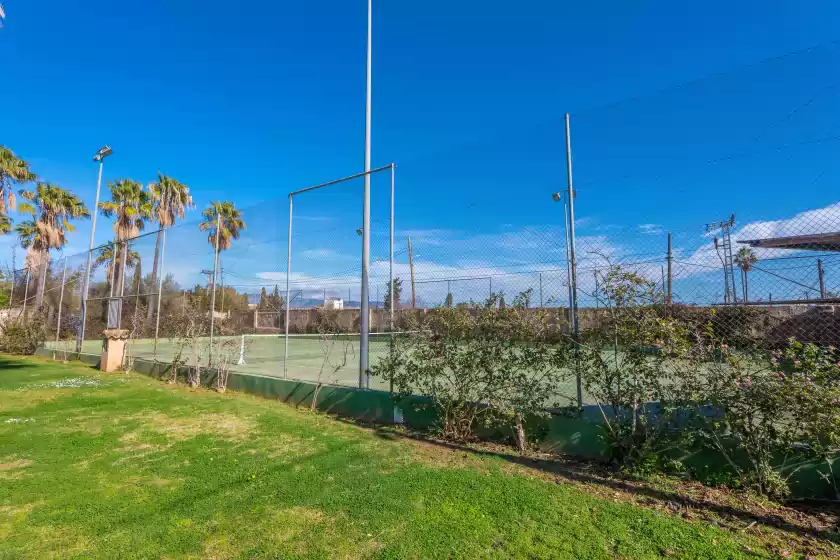 Holiday rentals in Es moli dels reis, Palma