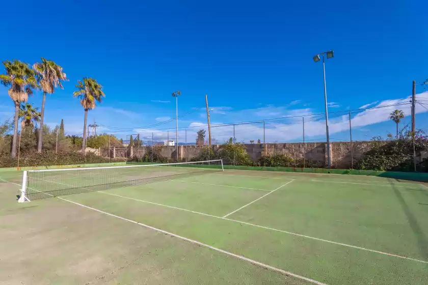 Holiday rentals in Es moli dels reis, Palma