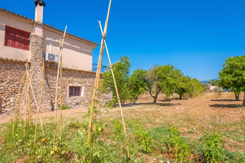 Holiday rentals in Son figuerola, Inca