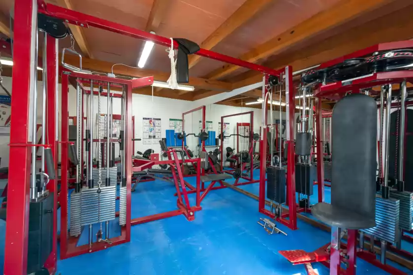 Holiday rentals in Villa ocean view, Santa Ponça