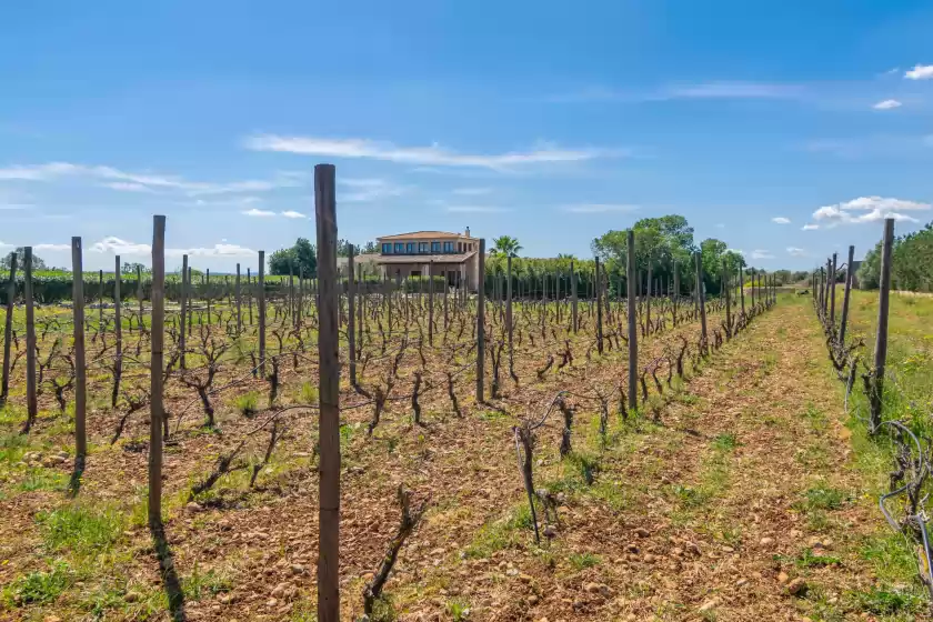 Holiday rentals in Finca aria, Búger